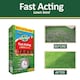 image 2 of Westland GRO-Sure Fast Acting Lawn Seed 10 Meter Square + 30 Percent Extra Quick Germination Grass Seed for Lawn Repair & Growth