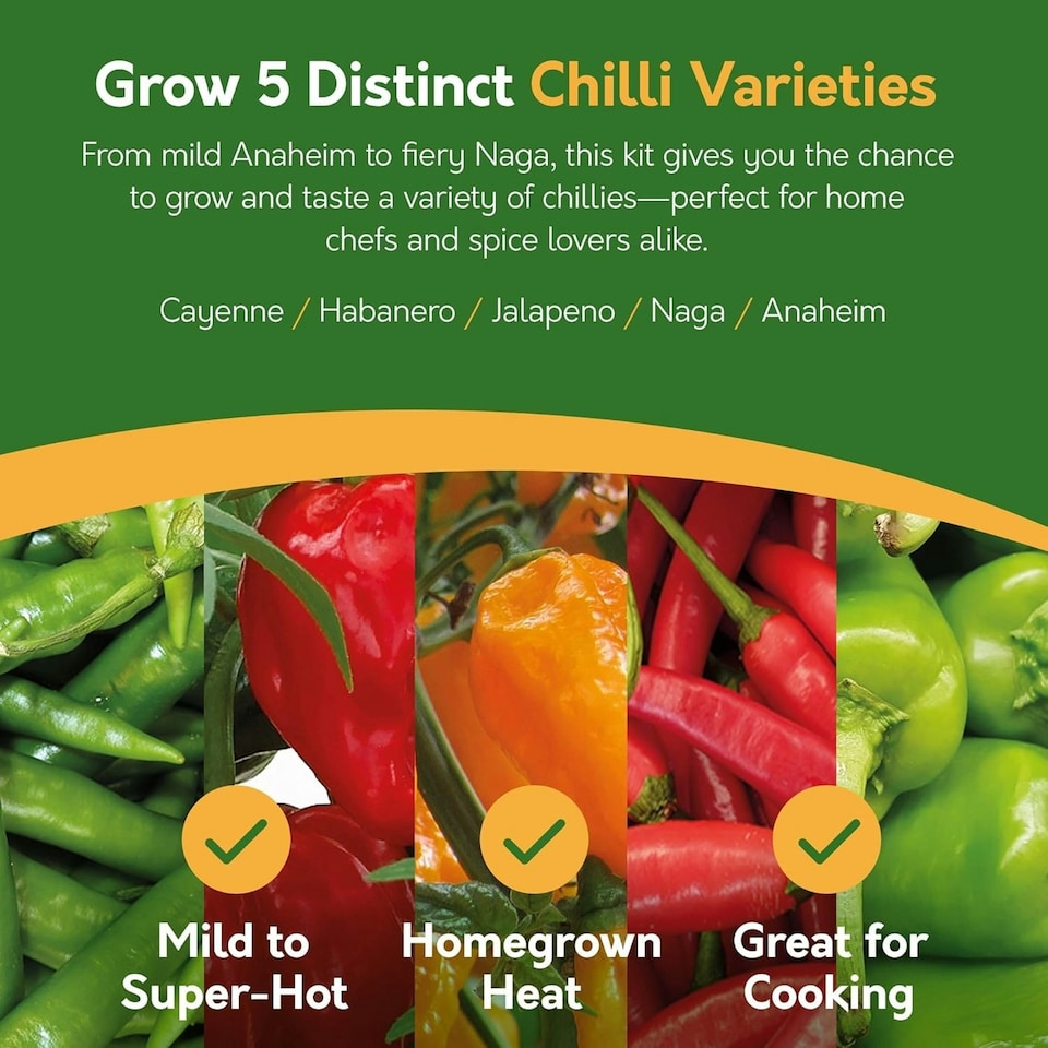 image 1 of Pronto Seed Grow Your Own Hot Chilli Seed Kit - 5 Varieties - Take the Chilli Challenge