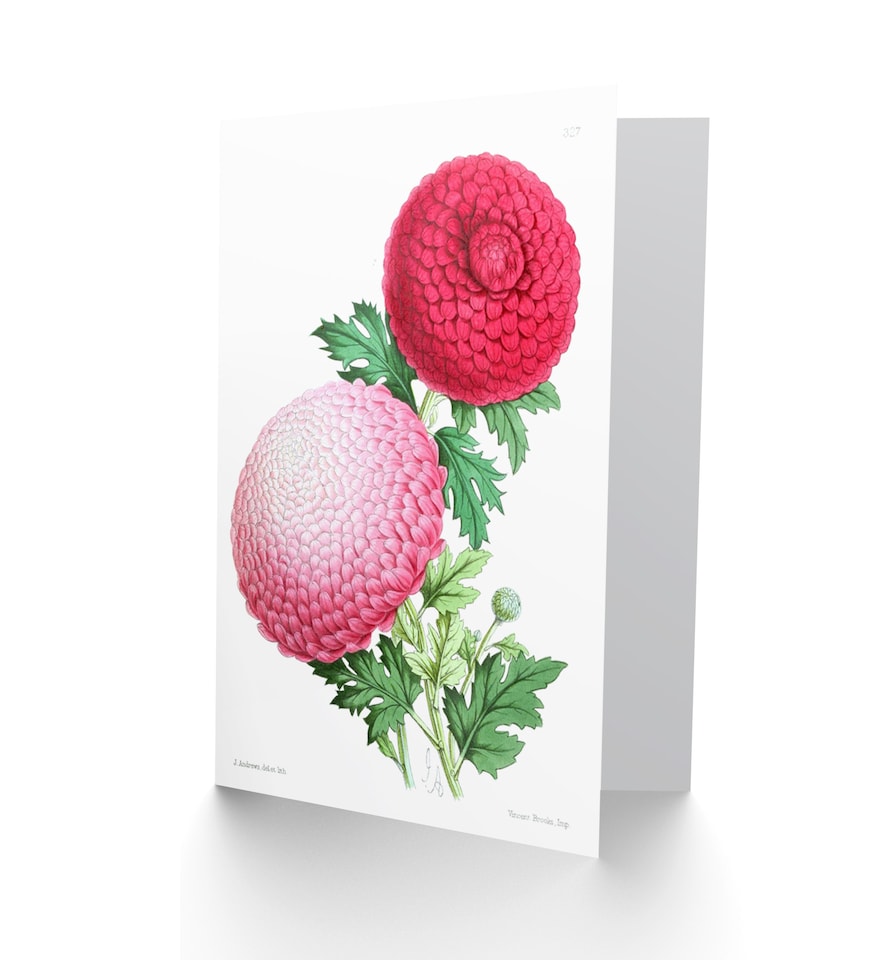 image 1 of Flower Petals Pink Greetings Card