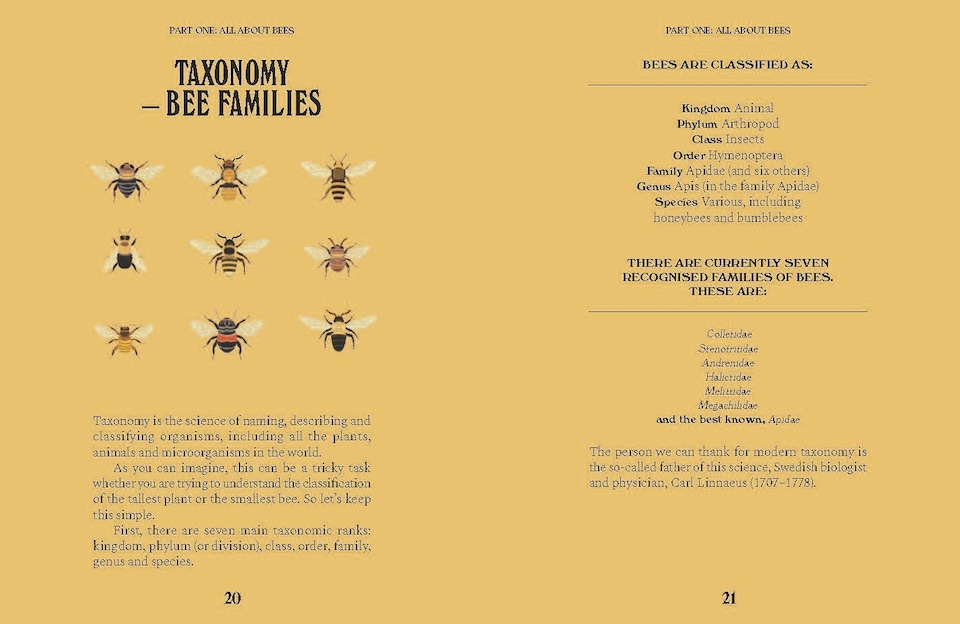 image 1 of Bees: A Guide For The Curious