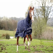 Rhinegold Full Neck Arizona Outdoor Rug Blue | Size: 5ft 0
Colour: Navy Blue