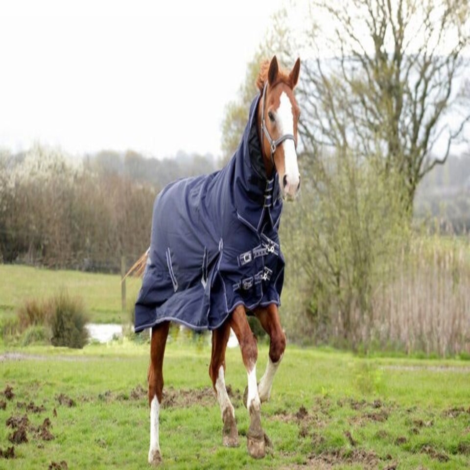 image 1 of Rhinegold Full Neck Arizona Outdoor Rug Blue | Size: 5ft 0
Colour: Navy Blue