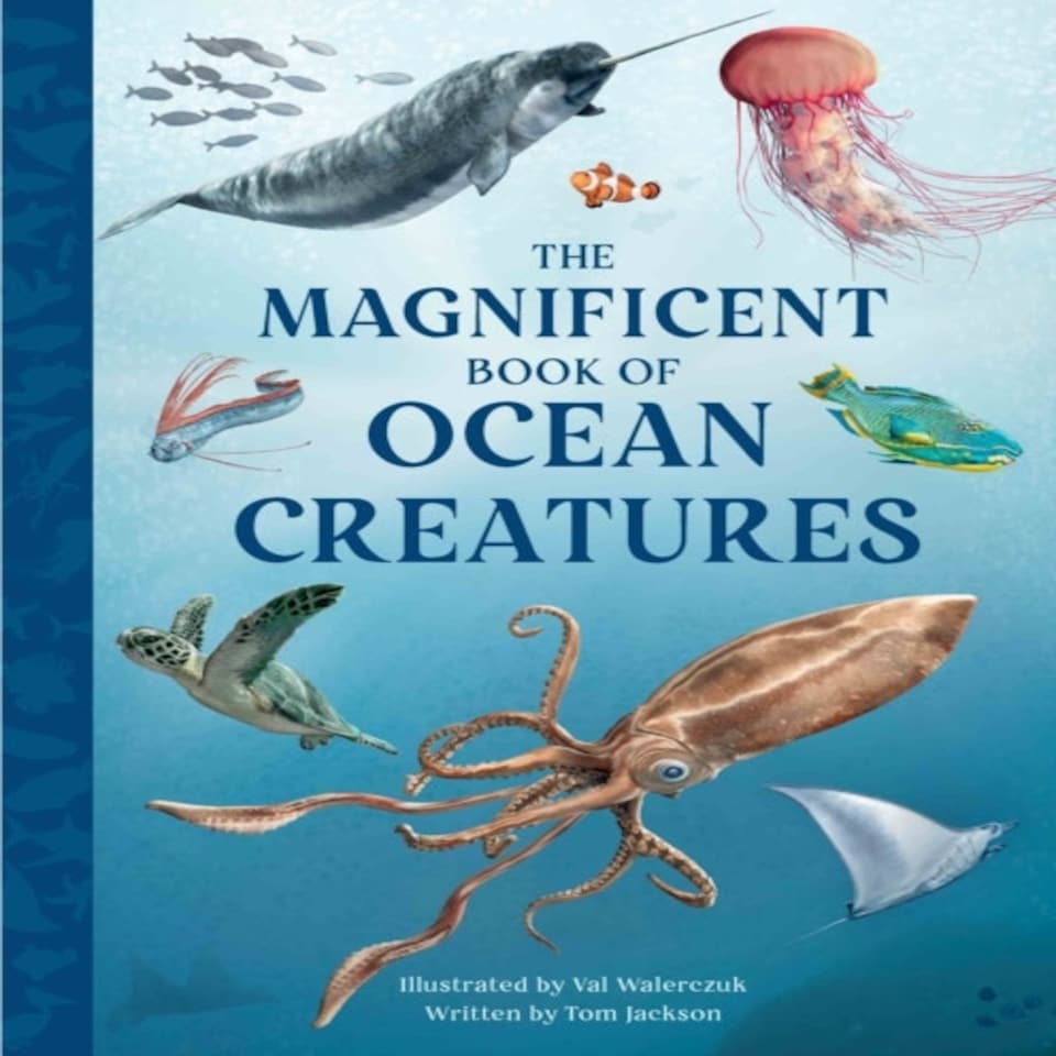 Magnificent Book Of Ocean Creatures