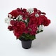 image 1 of Homescapes Artificial Poinsettia and Rose Flowers in Pot, Artificial Flower Bouquet