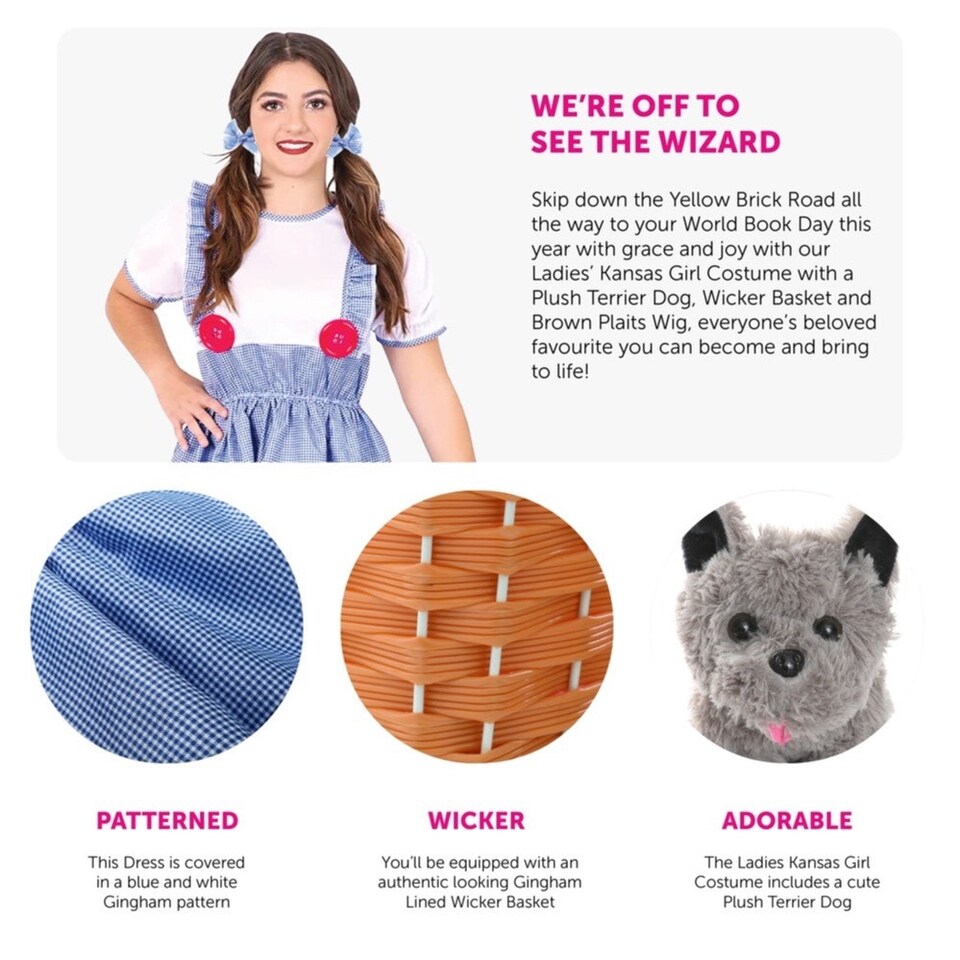 image 1 of Kansas Girl Costume - Dress, Dog, Basket & Brown Plait Wig Blue | 2XL
