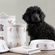 image 3 of Wrendale Designs Dog Bowl