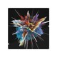 image 1 of Colorful Explosion Isolated Splash Back | White