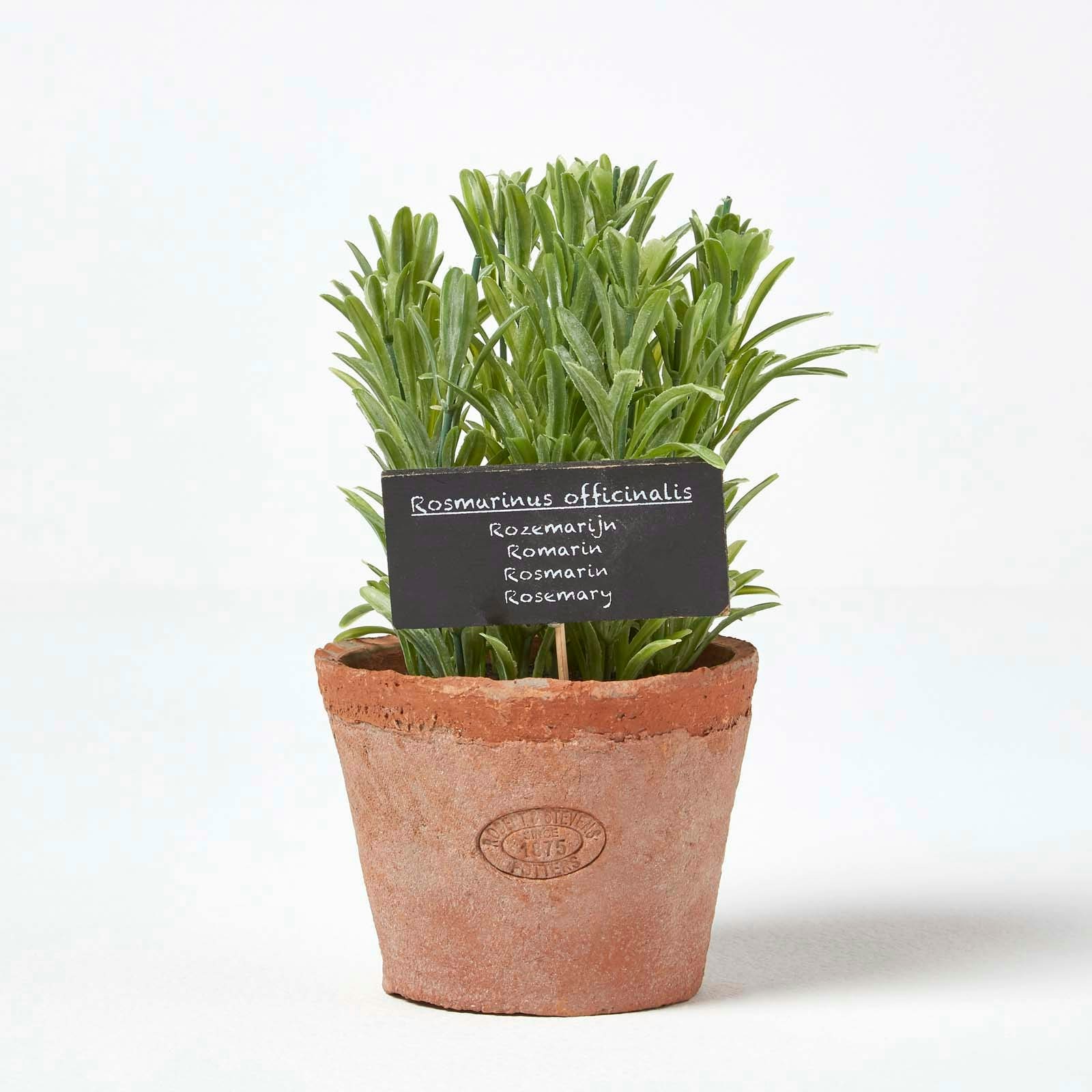 Homescapes Artificial Rosemary Plant in Decorative Pot in Terracotta