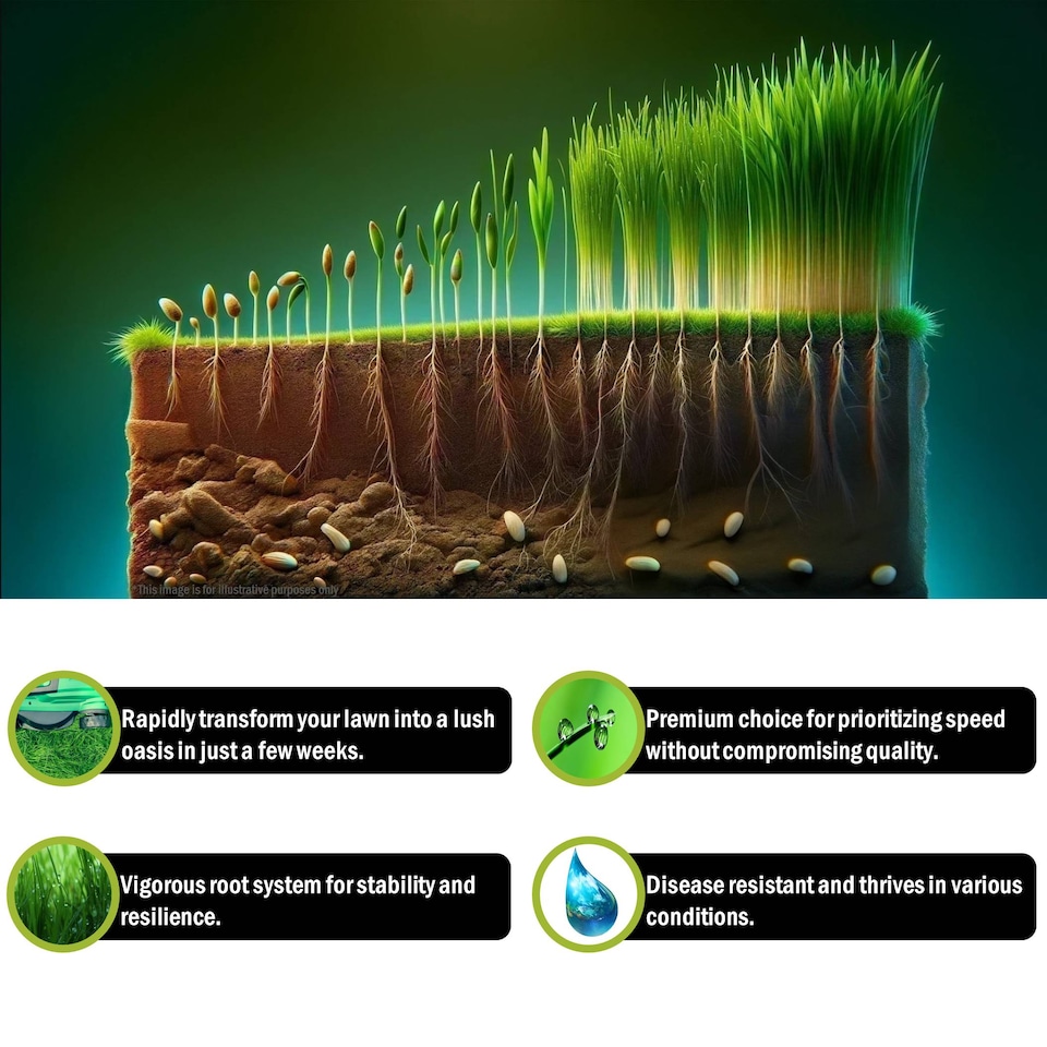 image 1 of Pegdev Transform Your Lawn PDL Fast Growing Grass Seed (50g)