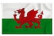 image 1 of 8 X 5ft Welsh National Flags Events Decorationsor | Multi