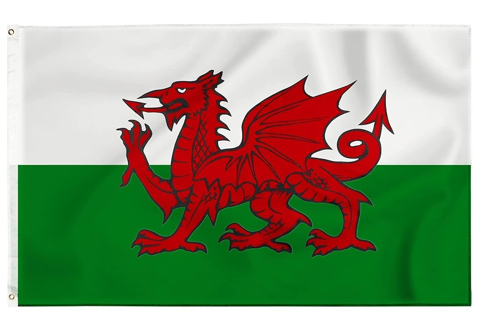 image 1 of 8 X 5ft Welsh National Flags Events Decorationsor | Multi