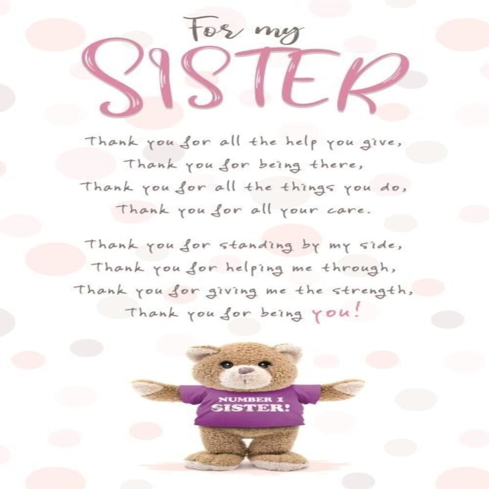 Stuffed with Love, "For My Sister, Thank You For All the Help you Give" Sister Birthday Card, Birthday Card Sister, Cute Birthday Card for Sister