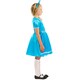 image 3 of Bristol Novelty Girls Tilda The Bookworm Costume Set - Blue - 3-4 Years 3-4 years
