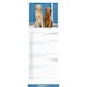 image 3 of Golden Retriever Slim 2026 Calendar | Slimline Wall Calendar | Dog Breed Gift | Plastic Free Packaging |Avonside Publishing Ltd