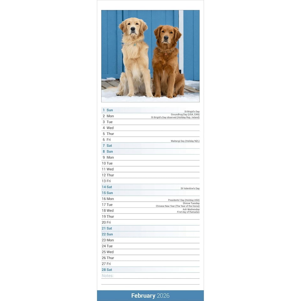 image 1 of Golden Retriever Slim 2026 Calendar | Slimline Wall Calendar | Dog Breed Gift | Plastic Free Packaging |Avonside Publishing Ltd