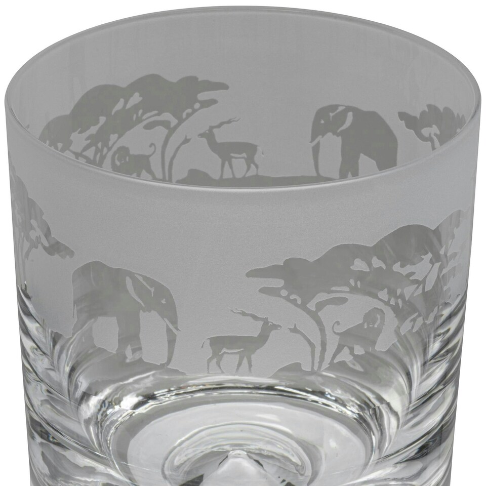 Animo Glass Whisky Tumbler Etched Glass Safari