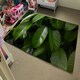 image 4 of Closeup of beautiful glossy green leaves (Rug) Green | S