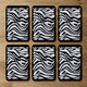 image 2 of Zebra Print (Coaster)
