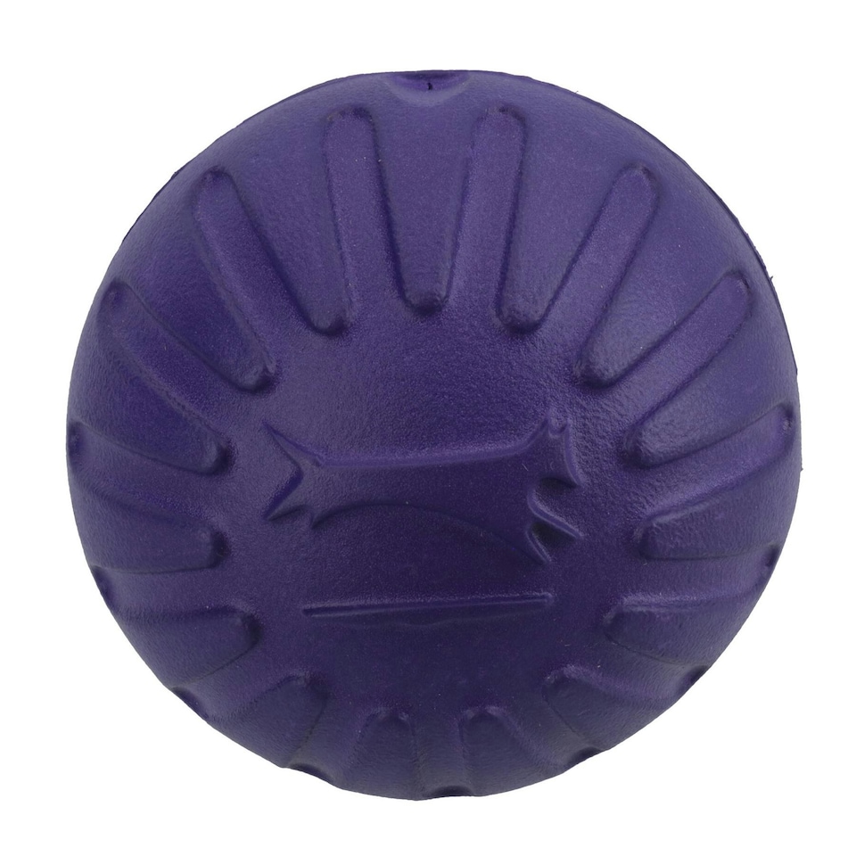 image 1 of Large Interactive Play Durafoam Dog Puppy Ball Floating Toy-Assorted Colour
