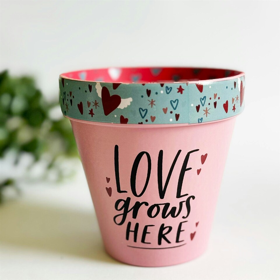 Love Plants Pot Ceramic Growing Garden Love Grows Here N/A