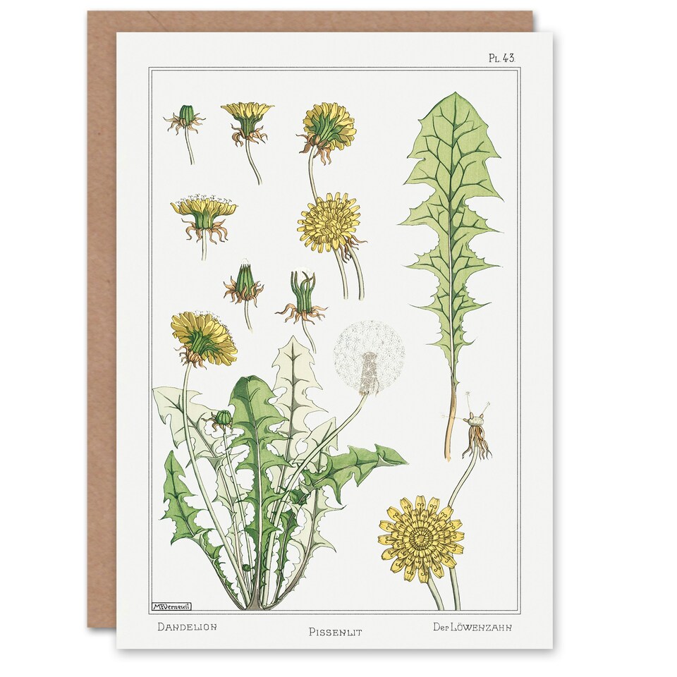 image 1 of Maurice Pillard Verneuil Art Card Dandelion Flower Plant