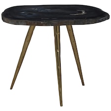 Relic Side Table With Petrified Wood Top and Brass Finish Legs Brown