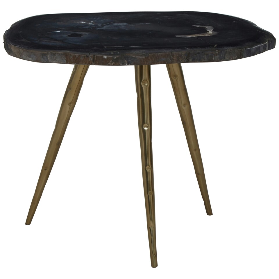 image 1 of Relic Side Table With Petrified Wood Top and Brass Finish Legs Brown