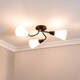 image 2 of ValueLights Kristina 3 Way Black Ceiling Light Frosted Shades and Bulbs