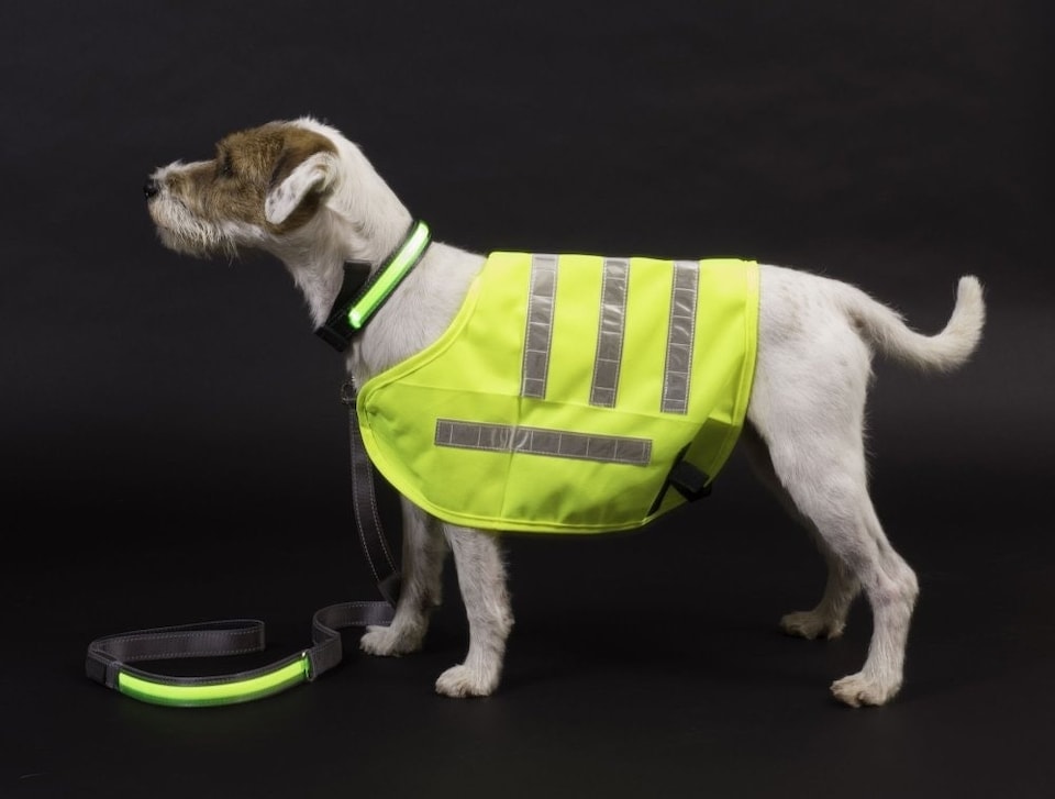 image 1 of Petface Reflective Dog Coat Lightweight Medium
