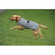 image 2 of Weatherbeeta Comfitec Reflective Dog Jacket - Silver - 25cm