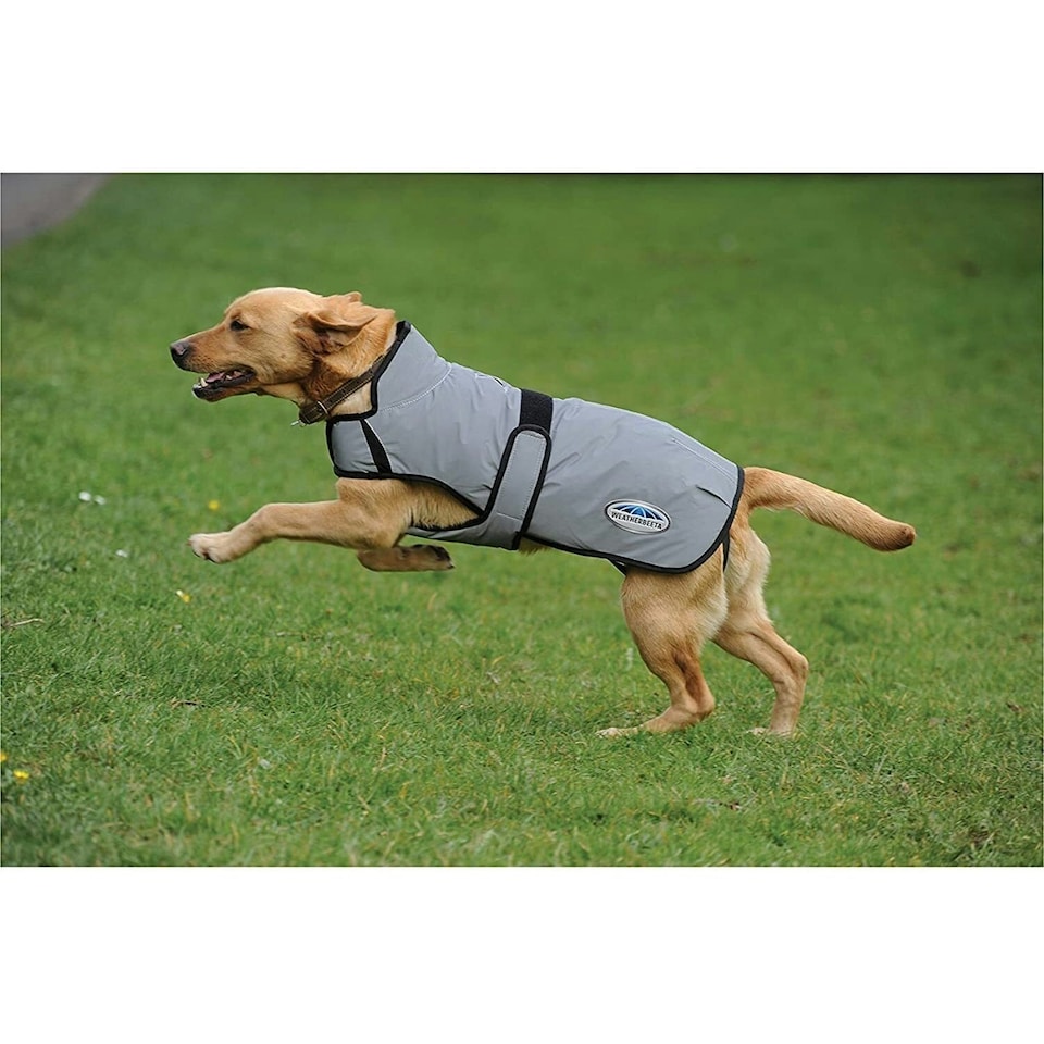 image 1 of Weatherbeeta Comfitec Reflective Dog Jacket - Silver - 25cm