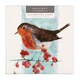 image 2 of Hallmark Christmas Gallery Card Pack "Robin & Bunny" - Pack of 10