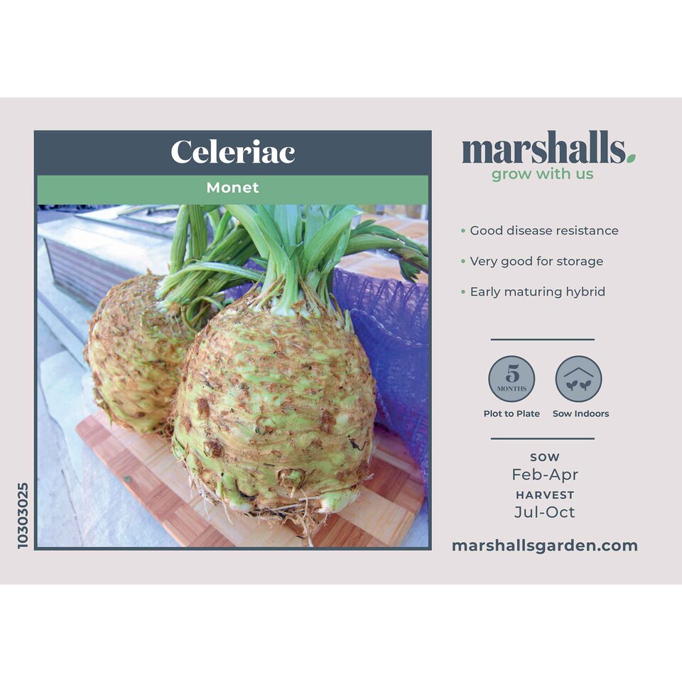 image 1 of Marshalls Garden Celeriac Seeds 'Monet' - Early-Maturing, 50 Seeds