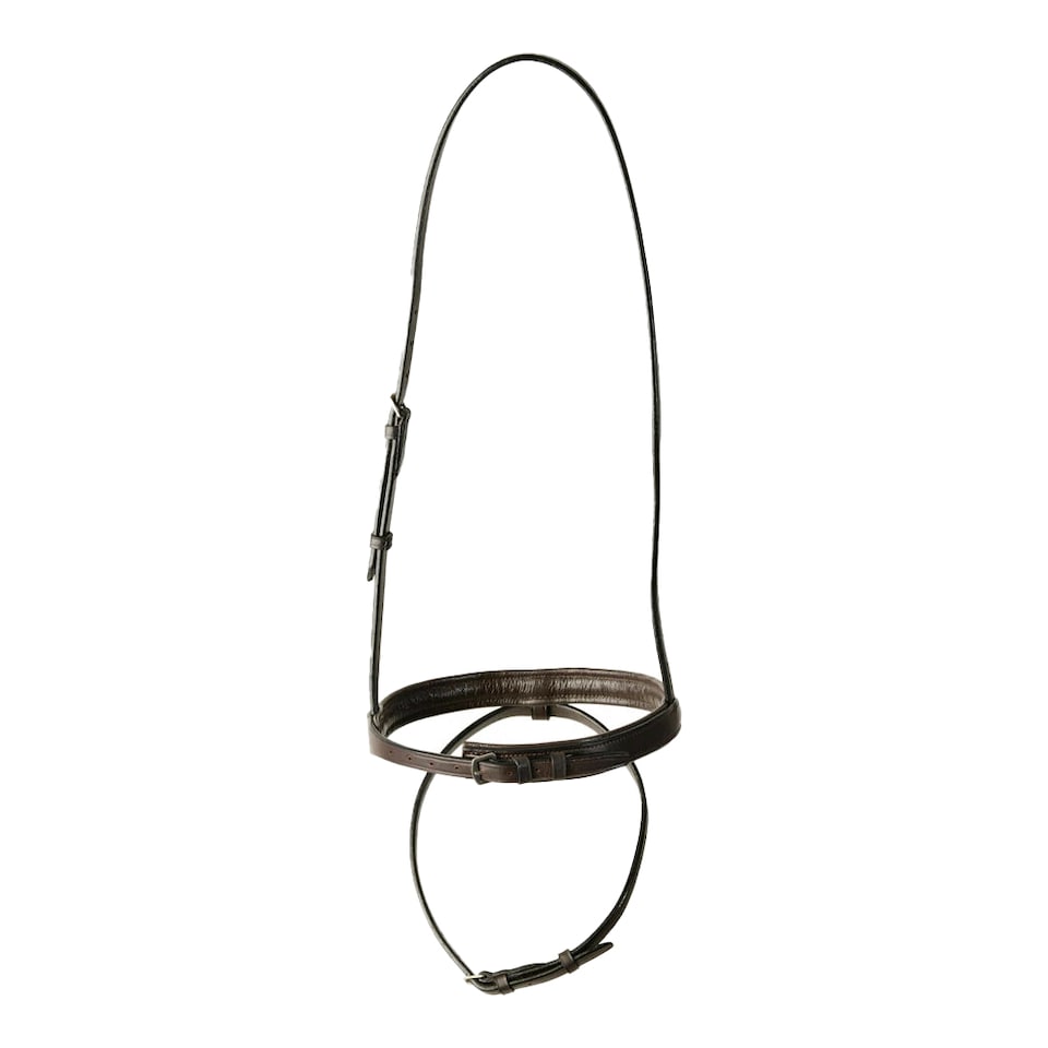 image 1 of Kincade Raised Flash Leather Classic Horse Noseband | Brown | Brown | Warmblood | 1