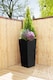 image 4 of Primrose Black Flared Tapered Outdoor Planter Zinc Galvanised Pot 90cm x 40cm