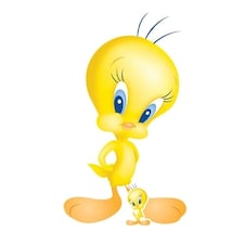 Tweety Pie Looney Tunes Star Mini Cardboard Cutout 88cm