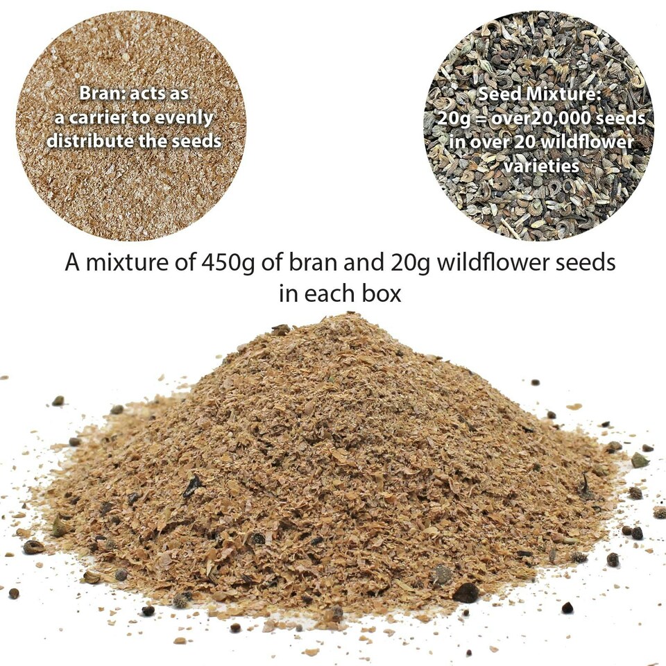 image 1 of Pronto Seed Wildflower Seeds Twin Pack 100m² Coverage, Butterfly & Bee Attracting Wildflower Seeds