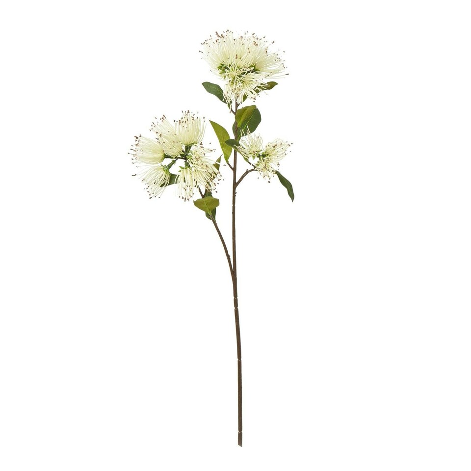 image 1 of Hill Interiors Protea Nitida Stem Artificial Flower Spray - Cream - One Size