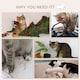 image 5 of PawHut Wall Mounted Cat Tree 4PC Kitten Activity Centre with Sisal, Beige
