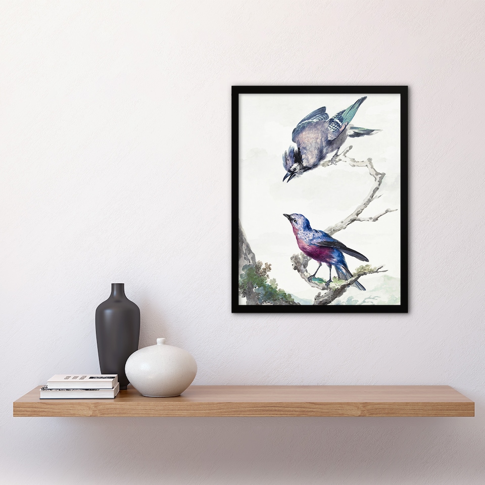 image 1 of Blue Jay and a Purple Breasted Cotinga Schouman Framed Wall Art Print 12X16"