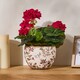 image 2 of Belfort Floral Planter Cream