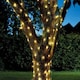 image 5 of Solar Powered 200 LED Warm White Firefly String Lights | Clear | 1