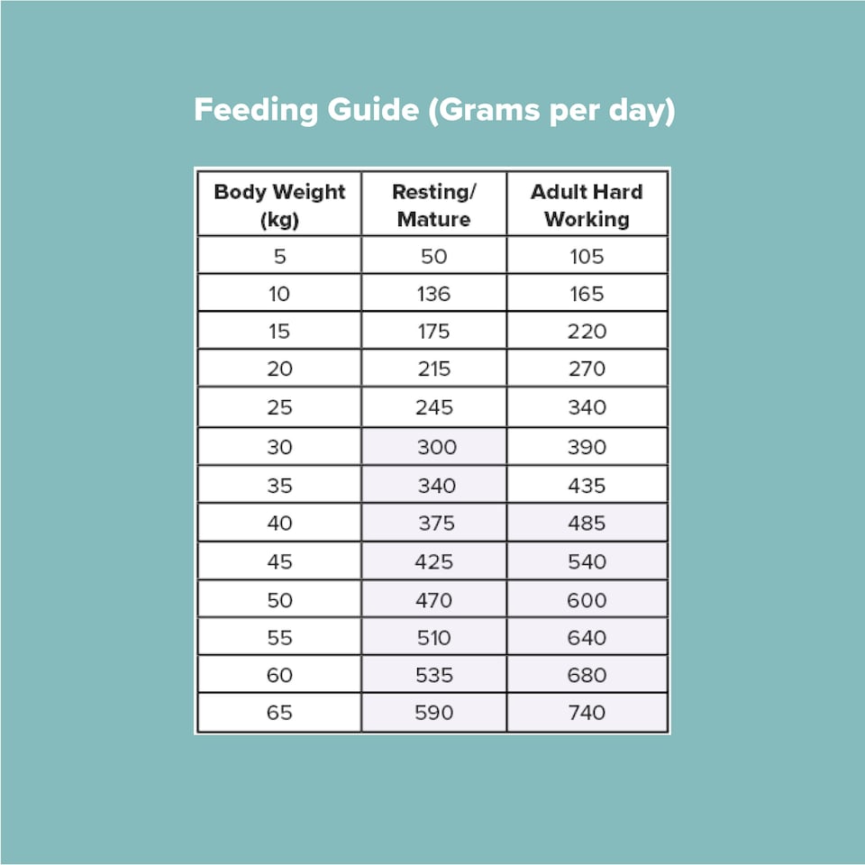 image 1 of Pero Cold Pressed Dog Food - Turkey Slim Down | Brown | 2kg | Turkey | 1