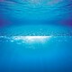 image 3 of Juwel Aquarium Poster 2 N/A | Extra Large