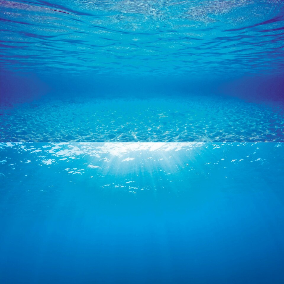 image 1 of Juwel Aquarium Poster 2 N/A | Extra Large