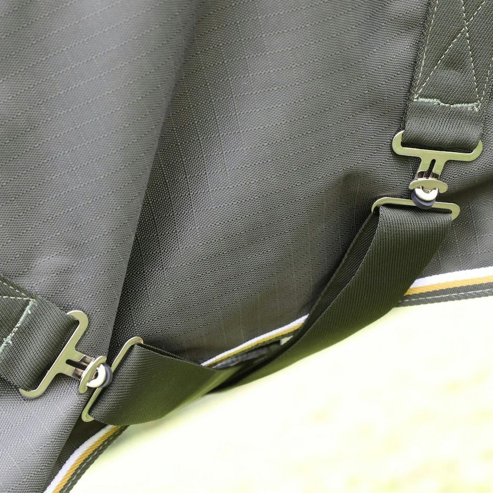 image 1 of Highlander Plus Standard-Neck 50g Horse Turnout Rug - Green - 5´ 6"