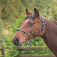 Shires Rope Control Headcollar White | Colour: Black/White
Size: One Size
