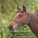 image 1 of Shires Rope Control Headcollar White | Colour: Black/White
Size: One Size