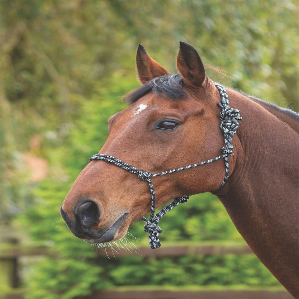 image 1 of Shires Rope Control Headcollar White | Colour: Black/White
Size: One Size