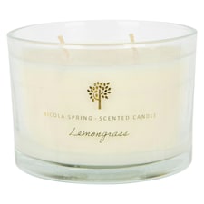 Nicola Spring Soy Wax Scented Candle - 350g - Lemongrass